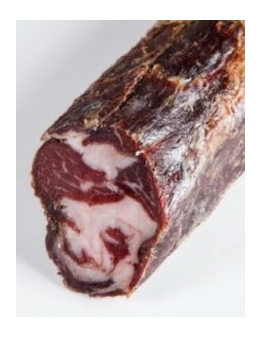 COPPA IBERICA BELLOTA....