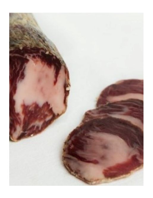 COPPA IBERICA BELLOTA.... 2