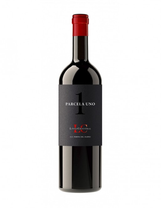 LOPEZ CRISTOBAL PARCELA UNO 2017 75 CL.