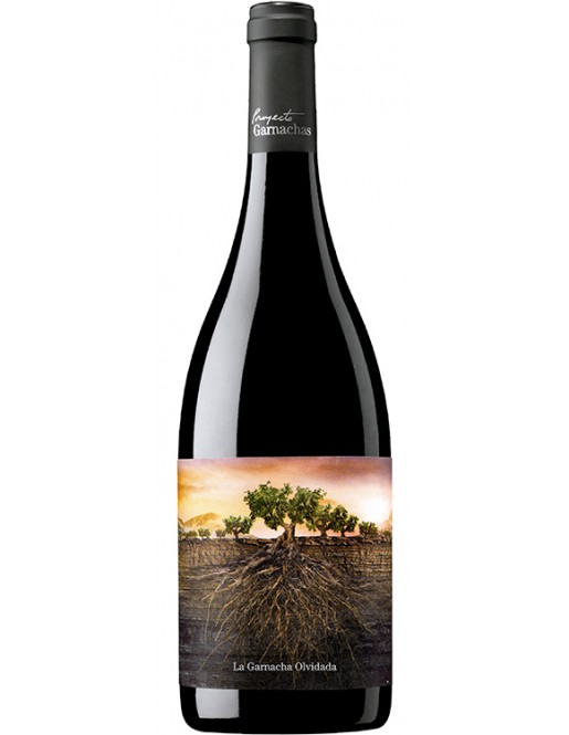 LA GARNACHA OLVIDADA DE ARAGON 2020 75 CL.