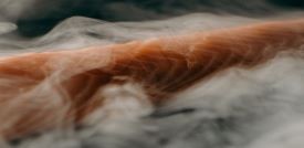 Ahumados y salazones